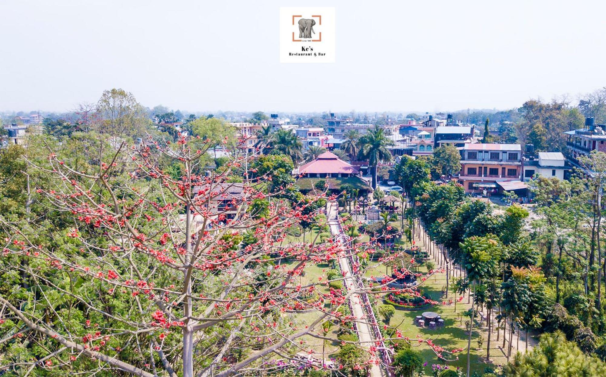 Kc'S Home Sauraha Εξωτερικό φωτογραφία